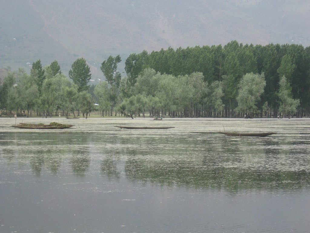 Wular Lake