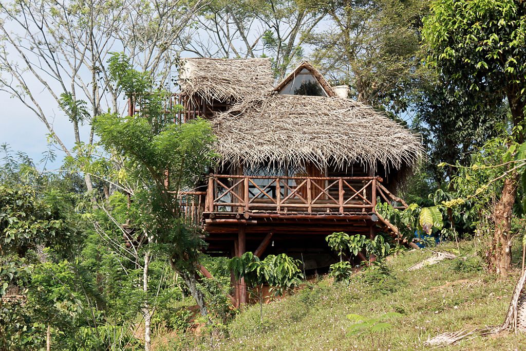 Stay in a Tree House - Places to Visit in Wayanad
