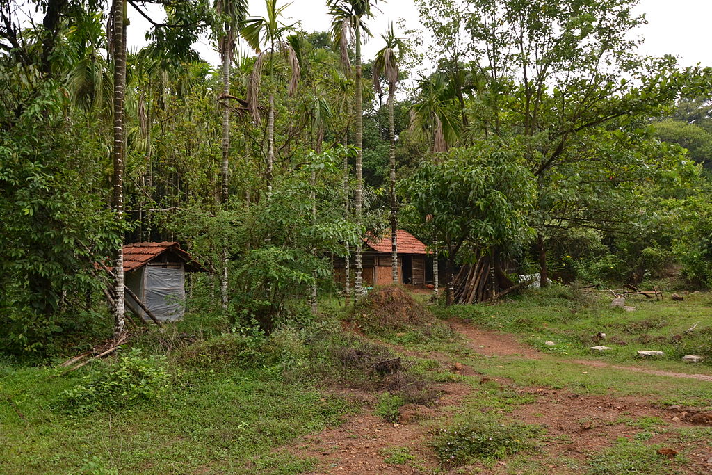Agumbe Rainforest Research Station 